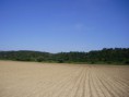 /album/campo/associacaoleziria-214-jpg/